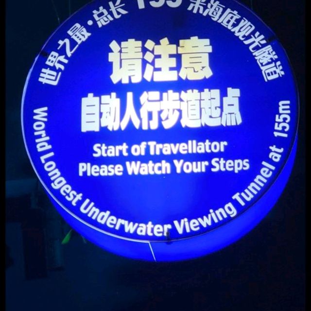 Shanghai aquarium 