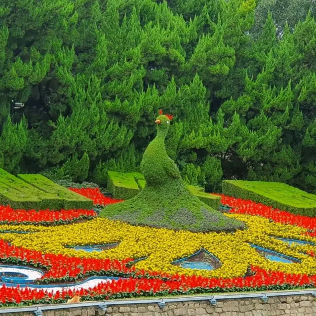 A walk in Zhongshan Park