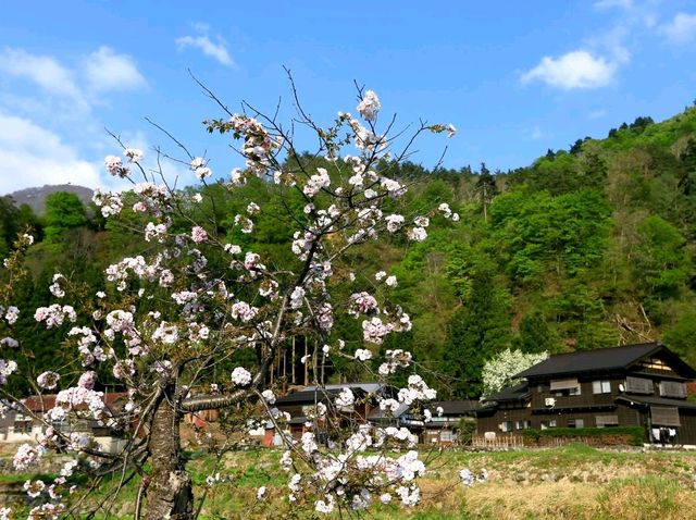 世界文化遺產日本合掌村