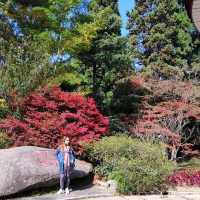 The Flower Path Garden Ruqin Lake Jiangxi
