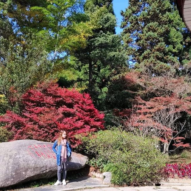 The Flower Path Garden Ruqin Lake Jiangxi