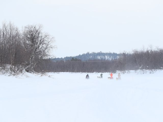 北極圈的哈士奇雪橇