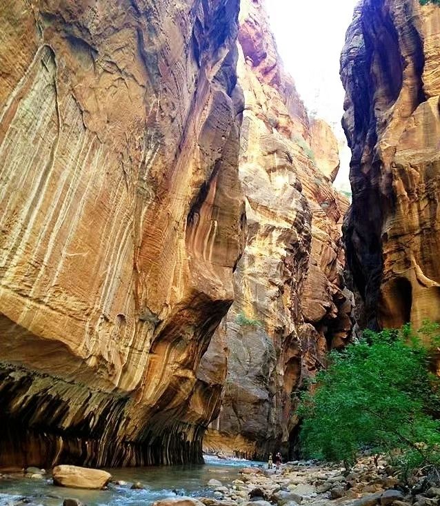 Narrow gorge and flowing stream, Zion National Park.