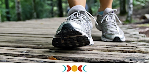 Starting with Steps: Kent's Pond | kents pond walking trail