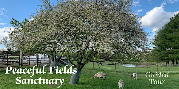 June Guided Tour of Peaceful Fields Sanctuary | Peaceful Fields Sanctuary