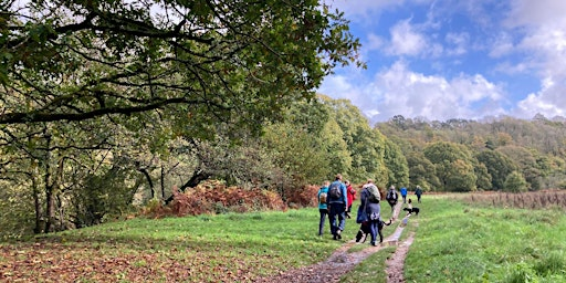 ZEST Summer River Walk at the Dartington Estate | The Green Table Cafe