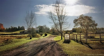 An Evening Under Harvest Skies - A 6 course vegan dinner in the countryside | Pegasus Animal Sanctuary