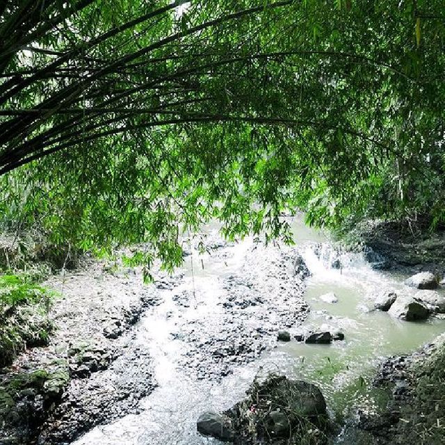 DAGO WATERFALL, BANDUNG CITY