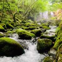 【栃木 那須塩原】乙女の滝
