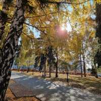첼랴빈스크에서 조용한 가을을 즐기기