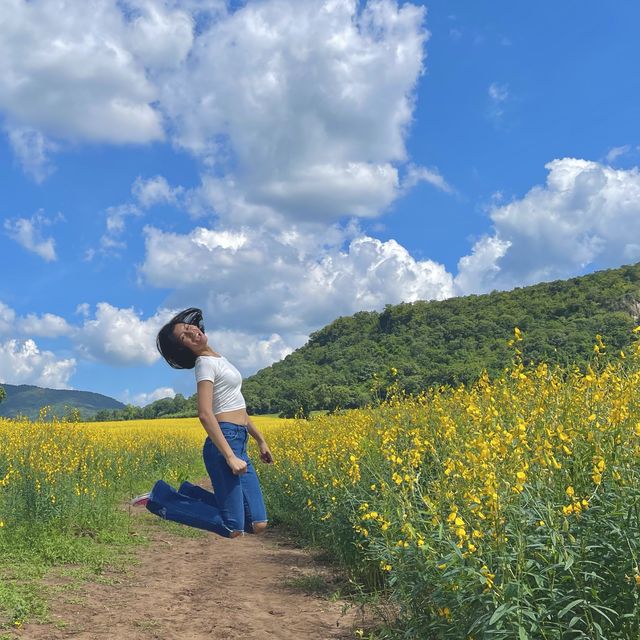 ไปเที่ยวทุ่งดอกปอเทือง ที่สวยที่สุดในประเทศไทย ❤️