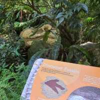 Singapore Zoo - Brickosaurs: Land Before Time