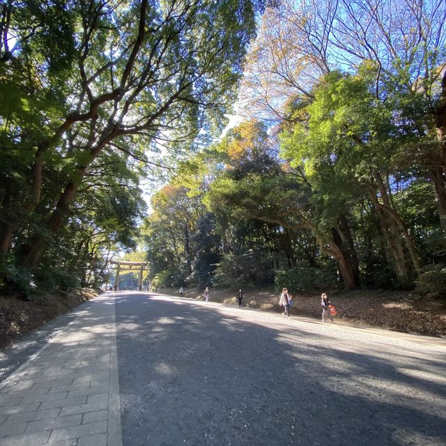 紅葉の明治神宮参道