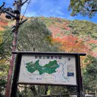 箕面公園｜日本の滝 百選に選ばれた箕面大滝