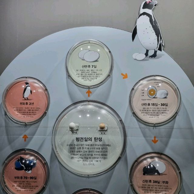 동심으로 돌아간듯한 [아쿠아플라넷 제주]