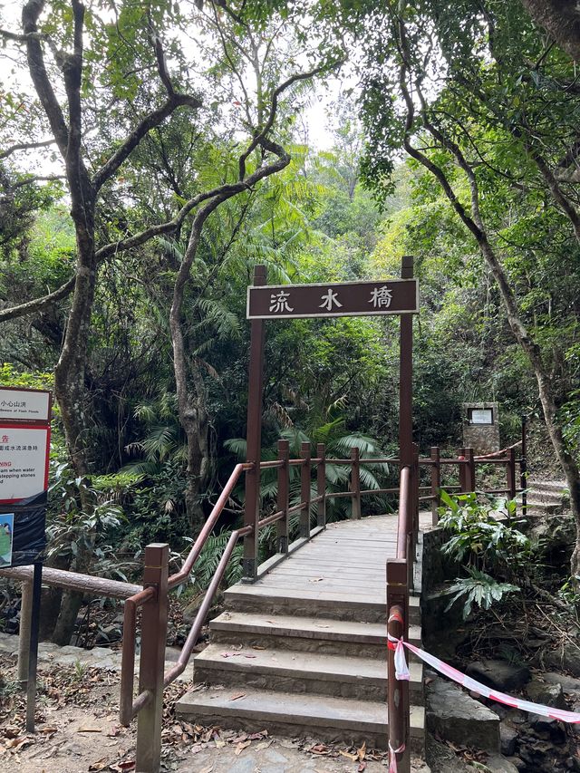 香港熱門賞紅葉景點🍂🍁 流水響郊遊徑 香港熱門賞紅葉景點🍂🍁 流水響郊遊徑
