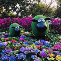 大安森林公園 🌸🌺🌼🌻💐🌷🌹 台北杜鵑花季