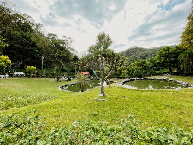 新竹山坡上的客家美味菜餚~九芎湖陳家休閒農場 特色園區景色還有好吃餐點 還可以體驗做擂茶 