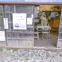 新緑の観音茶屋