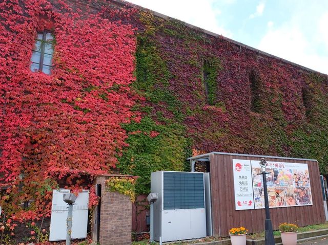 歐美feel紅磚屋📸️🤩