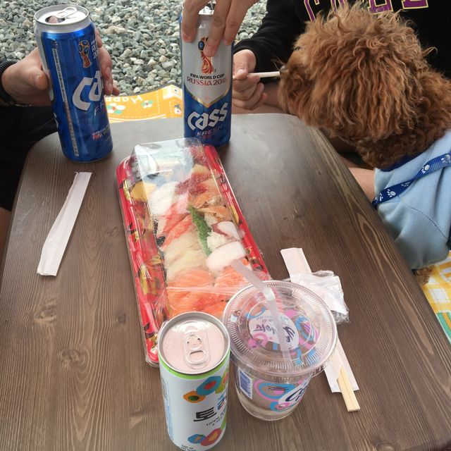 초코랑 함께 떠난 여름 캠핑 at 광덕 계곡 