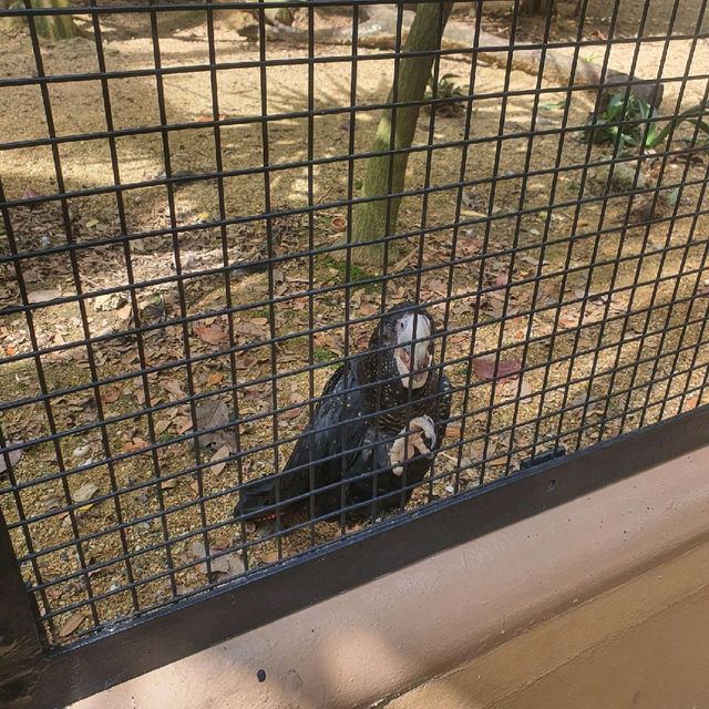 Jurong Bird Park