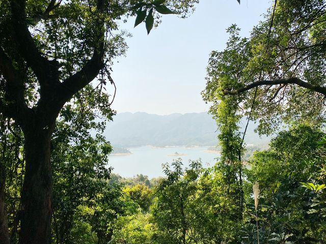 大欖郊野公園