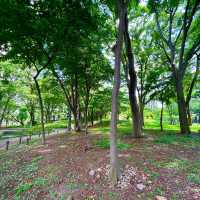 【新宿中央公園〜都会に広がる緑のオアシス〜】