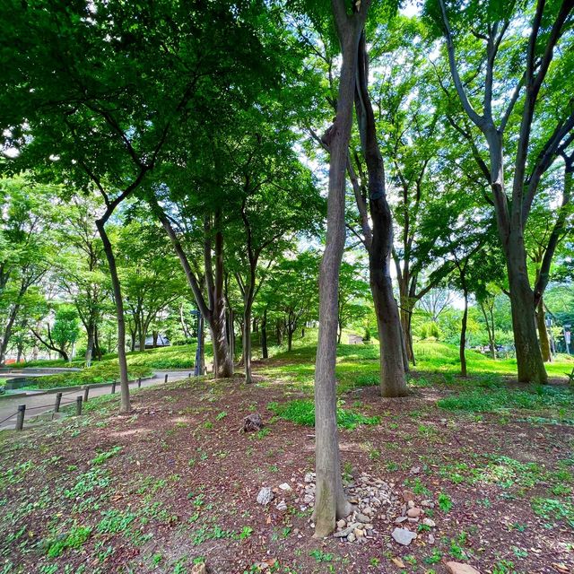 【新宿中央公園〜都会に広がる緑のオアシス〜】