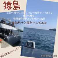 【神奈川】都内から日帰りで行ける無人島