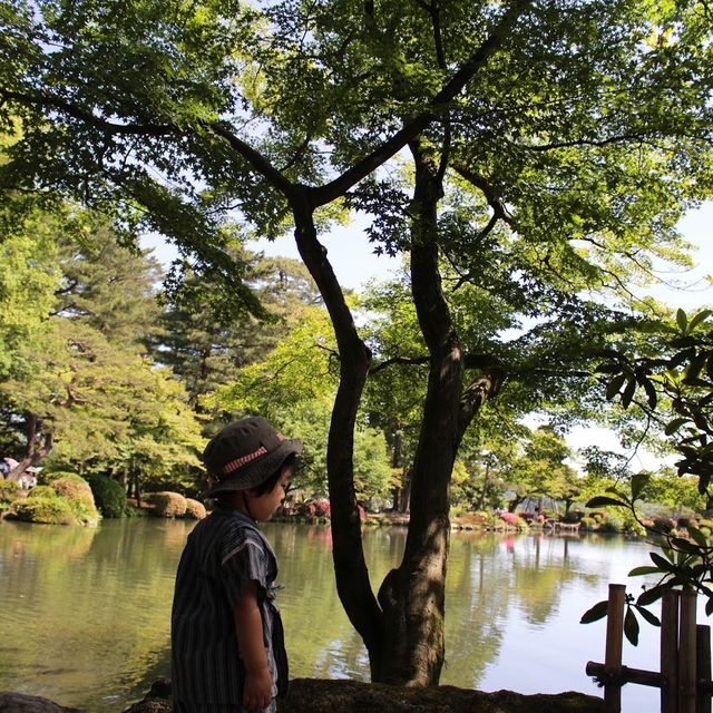 【金沢】圧倒的な日本庭園兼六園！