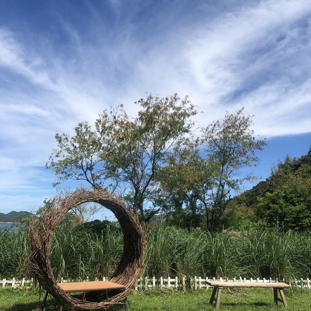 清新地有機農莊 x 白水碗沙灘