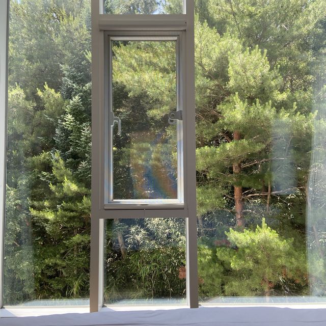푸릇푸릇한 숲뷰🌿 를 즐길 수 있는 양양호텔
