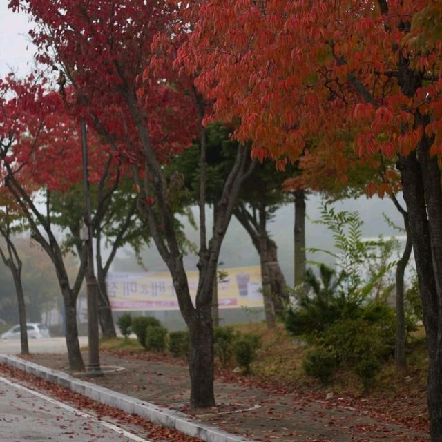 Somewhere Gapyeong station