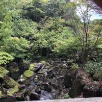 愛知県　愛・地球博公園