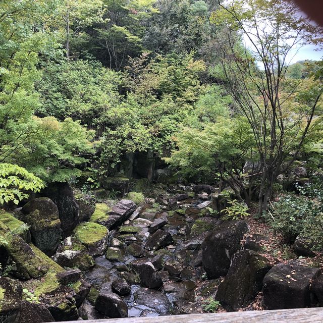 愛知県　愛・地球博公園