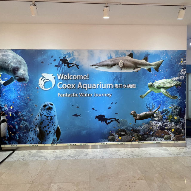 🇰🇷 COEX Aquarium How to Go