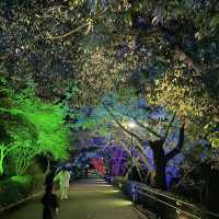 丸亀市　亀山公園のライトアップ