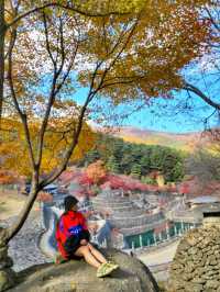 가을의 전설이 시작되는 곳! 경남 하동 삼성궁🍂🍁🏯