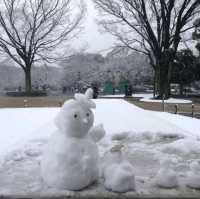 หนาวจับใจ..ได้สัมผัสหิมะแรกในชีวิตที่ Ueno