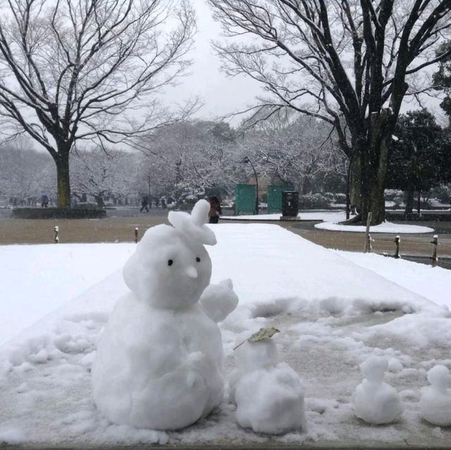 หนาวจับใจ..ได้สัมผัสหิมะแรกในชีวิตที่ Ueno