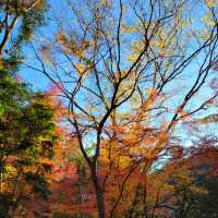 日本最古的修行地之一｜瀧安寺