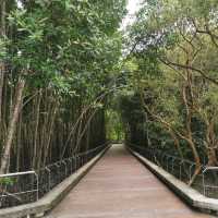 เส้นทางชมป่าโกงกางที่สวนสะพานหิน 