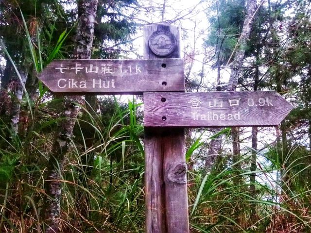 Xueshan - 2nd Highest Peak in Taiwan