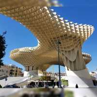 Mushrooms of Seville