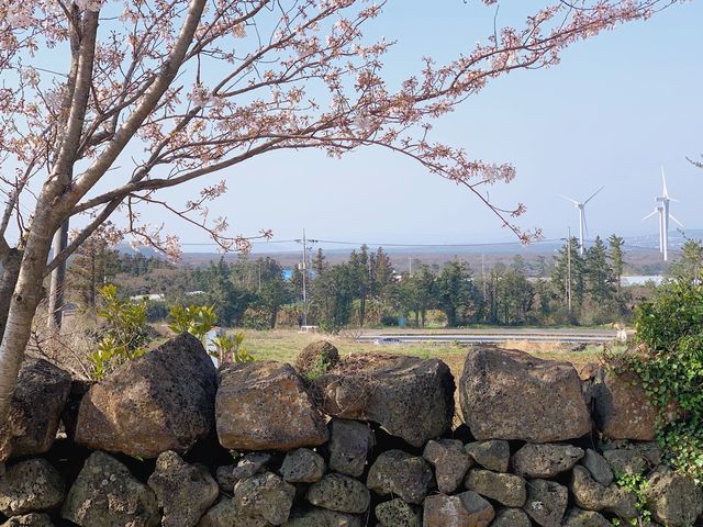 <아침의 금오름>