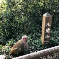 愛女5歲上獅子山頭