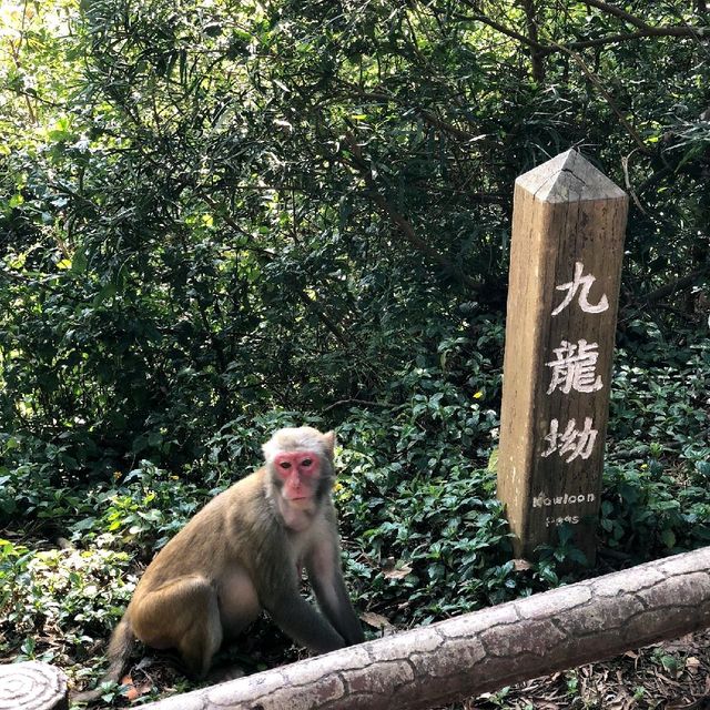 愛女5歲上獅子山頭