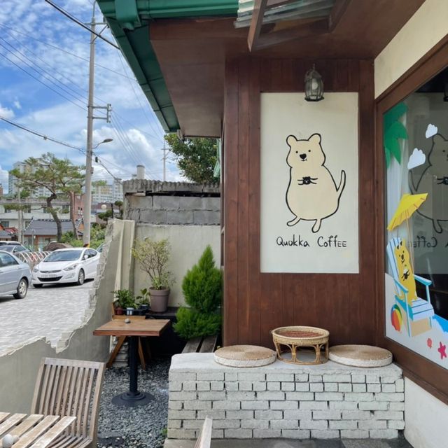 쿼카를 사랑하는 모임 쿼모임에게 추천할 장소_쿼카커피