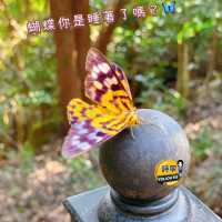 【超輕鬆親子行山路線】